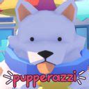 pupazzi prada|Pupperazzi's Adorable Dogs Will Follow You Until You Love Them.